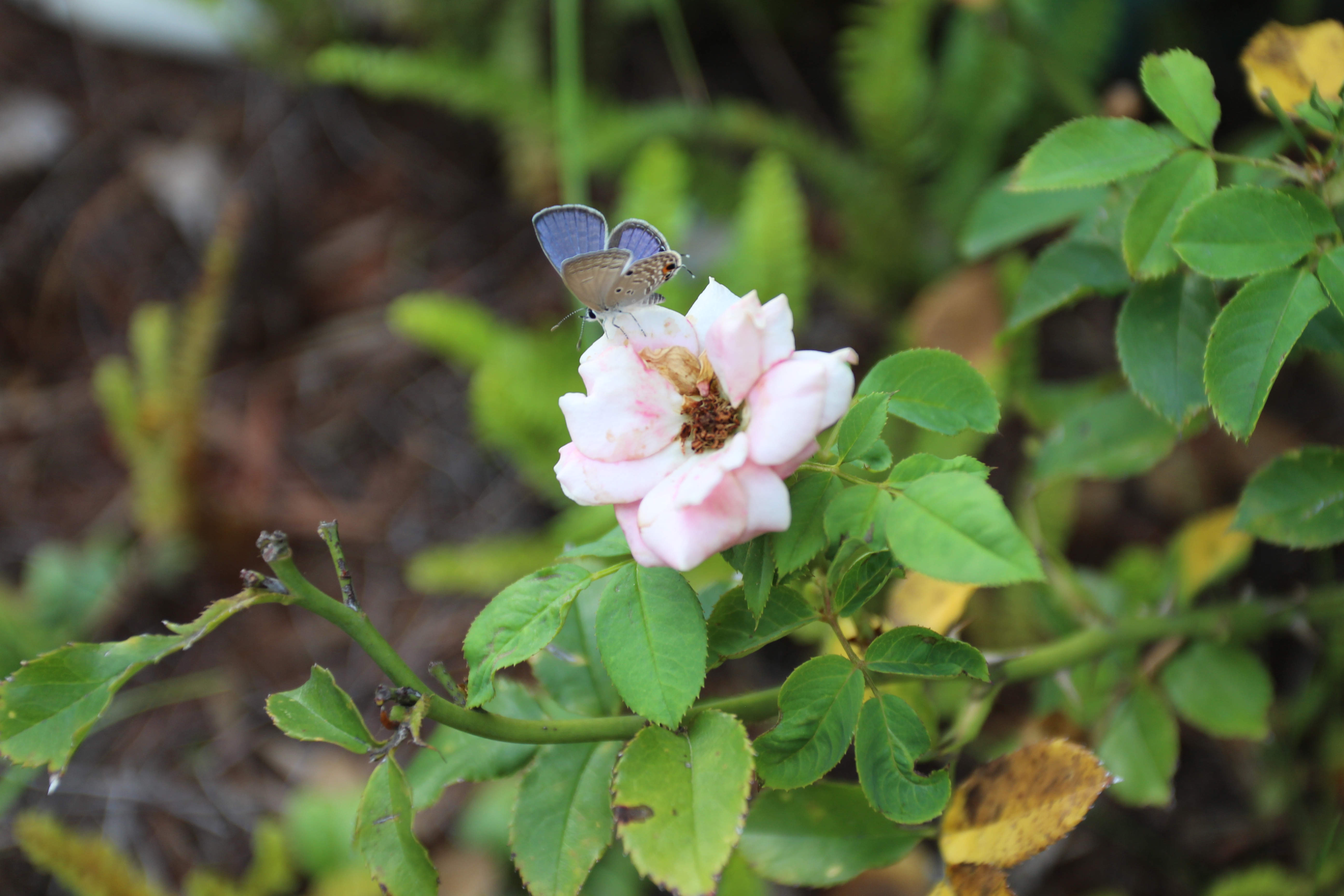 IMG_4122_副本.jpg IMG_4122_副本.jpg